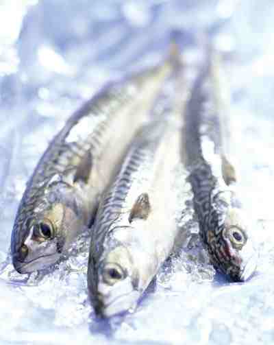 http://www.healthhype.com/wp-content/plugins/omega-3-fish-benefits.jpg