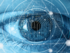 eye nutrition, vision health, eye disease prevention, healthy vision diet, nutrients for eyes, eye-friendly foods