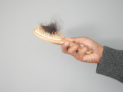 hair loss in winter, hair fall during winter months, scalp health winter, telogen effluvium winter, winter hair breakage