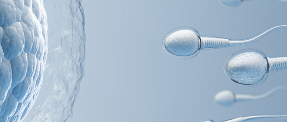 Causes male infertility