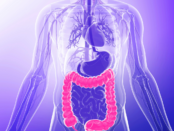 Is bloating related to IBS or food intolerance