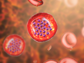 Blood conditions cause tiredness, hematologic disorders and exhaustion, blood diseases lead to fatigue