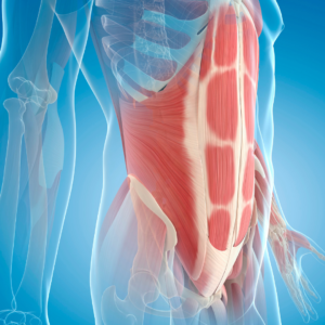 Improve bone health, boost bone density, enhance bone strength, natural bone health