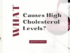 What Causes High Cholesterol Levels