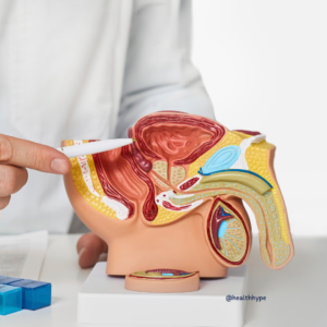 what are prostate cancer symptoms