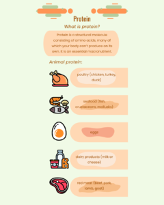 Protein