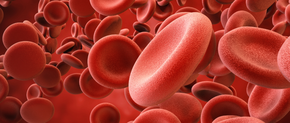 Blood type health risks, blood group health impact, blood type disease risks, blood type wellness, blood group health factors