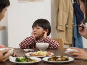 Picky eater meals, healthy kids’ recipes, child-friendly meals, nutritious kid foods, easy recipes for kids