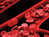 Blood sugar management, diabetes control, healthy blood sugar, glucose regulation, low blood sugar, high blood sugar, diabetes diet, insulin sensitivity