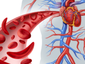 autoimmune disorders, immune system diseases, chronic fatigue, joint pain, skin rashes, digestive issues, neurological symptoms, thyroid imbalances, autoimmune diagnosis, symptom management