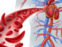 autoimmune disorders, immune system diseases, chronic fatigue, joint pain, skin rashes, digestive issues, neurological symptoms, thyroid imbalances, autoimmune diagnosis, symptom management