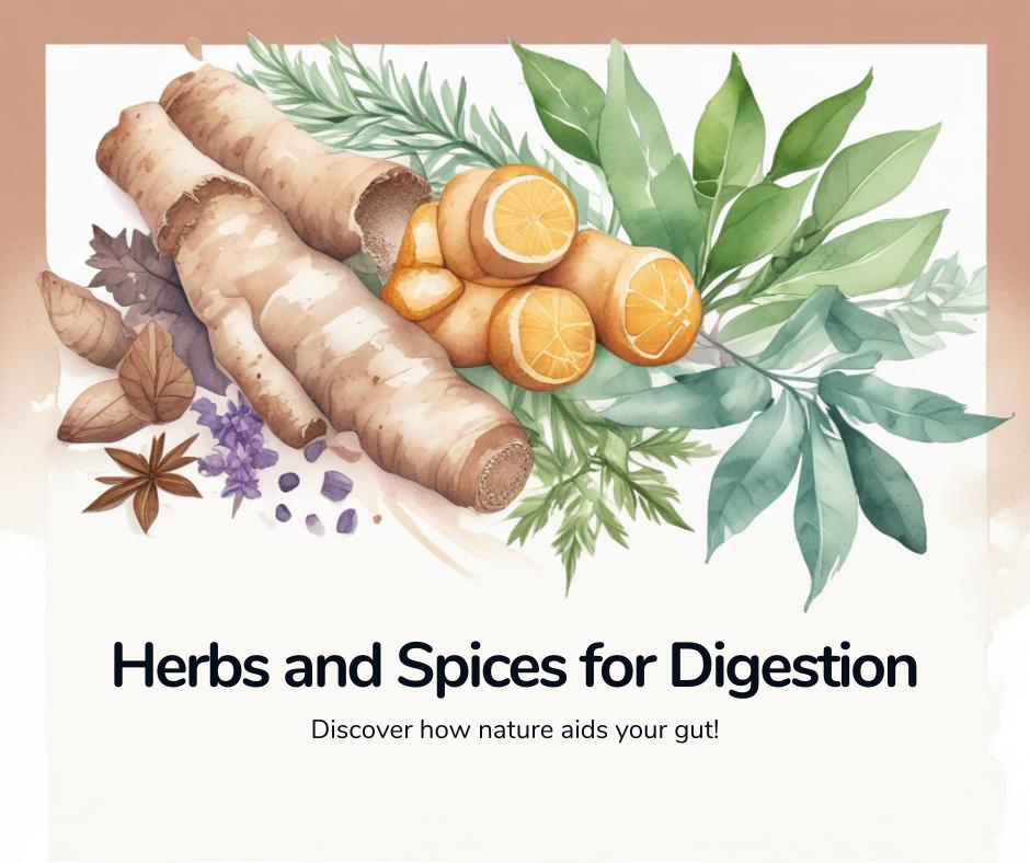 The Best Herbs and Spices for Better Digestion - Healthhype