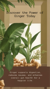 Best Herbs and Spices for Better Digestion