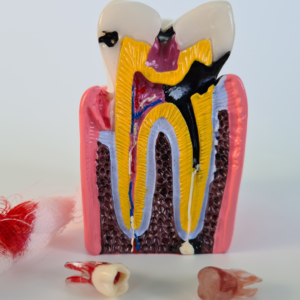oral hygiene practices, prevent dental problems, gingivitis prevention, tooth decay prevention, healthy teeth diet, dental care tips
