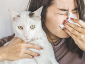 cat dander allergies, feline allergy causes, managing cat allergies, cat allergy relief, allergic to cats signs, cat hair allergies, living with cat allergies, cat allergy prevention, severe cat allergies, cat allergen reduction