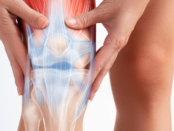 muscle soreness, post-workout recovery, muscle repair, exercise recovery, muscle healing, workout recovery, muscle regeneration