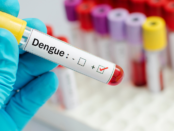 Breakbone Fever, Mosquito Borne Illness, Severe Dengue Signs, Dengue Virus Infection, Tropical Disease Prevention, Aedes Mosquito Control, Dengue Outbreak Updates, Dengue Vaccine Options