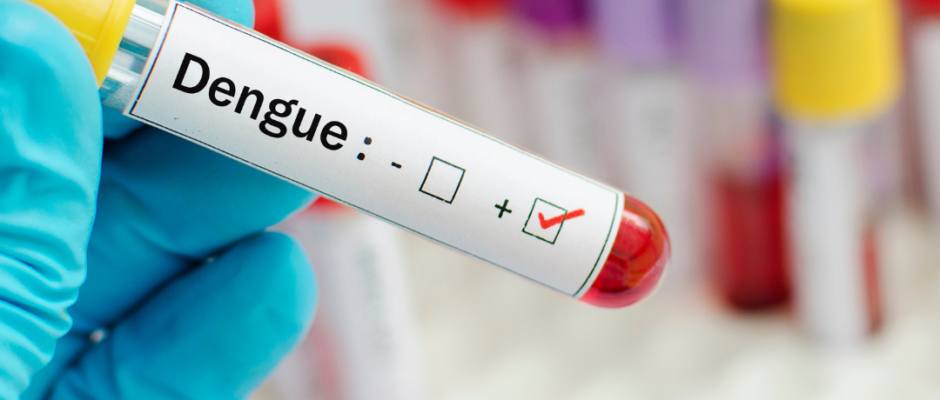 Breakbone Fever, Mosquito Borne Illness, Severe Dengue Signs, Dengue Virus Infection, Tropical Disease Prevention, Aedes Mosquito Control, Dengue Outbreak Updates, Dengue Vaccine Options