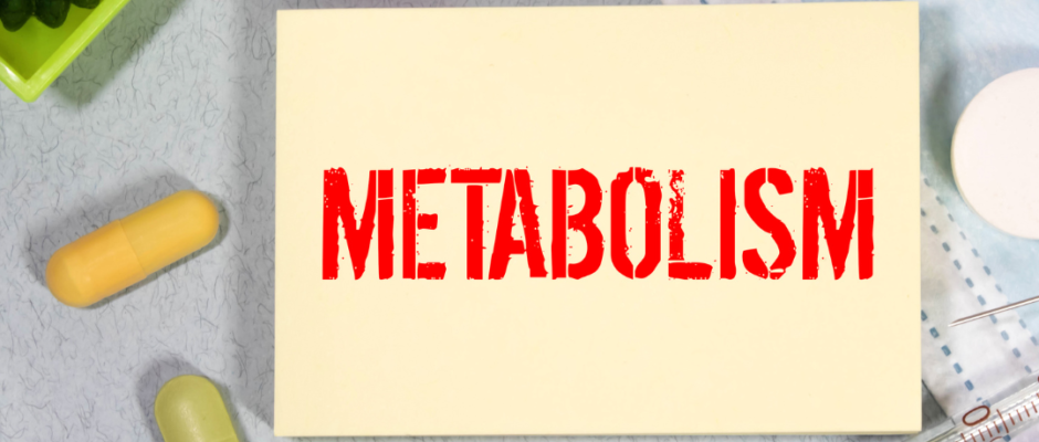 hormone imbalance weight gain, metabolism boosting hormones, insulin resistance weight, thyroid hormone metabolism, cortisol stress weight, leptin appetite control, estrogen weight distribution, testosterone muscle mass, ghrelin hunger signals, adrenal hormones fat storage