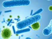 pathogens types, bacterial infections, viral infections, fungal infections, parasitic infections, prion diseases, airborne transmission, droplet transmission, fecal oral transmission, vector borne transmission, direct contact transmission, host defenses, immune evasion strategies, infection colonization, infection invasion, infection dissemination, communicable diseases, medical microbiology, emerging infectious diseases, infection prevention, epidemiology of infections