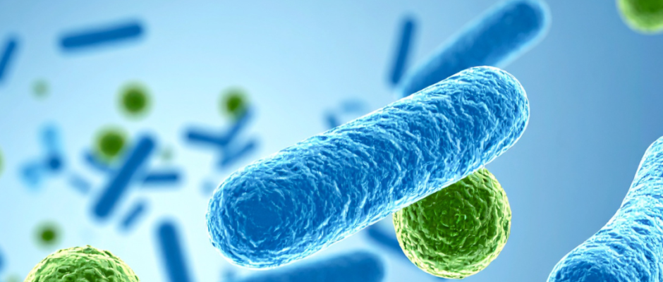 pathogens types, bacterial infections, viral infections, fungal infections, parasitic infections, prion diseases, airborne transmission, droplet transmission, fecal oral transmission, vector borne transmission, direct contact transmission, host defenses, immune evasion strategies, infection colonization, infection invasion, infection dissemination, communicable diseases, medical microbiology, emerging infectious diseases, infection prevention, epidemiology of infections