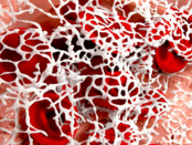 antimicrobial treatment, empirical vs targeted therapy, antibiotic resistance prevention, adjunctive therapy, antimicrobial stewardship, infection management, antiviral treatment, antifungal drugs, antiparasitic agents, antimicrobial resistance control, infection diagnosis and treatment