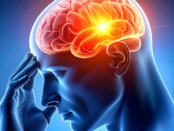 how many neurons in the human brain, human brain neuron count, number of neurons in brain, brain neurons, neuron function, brain health tips, neurogenesis in adults, brain myths debunked, protecting brain cells, neuron structure