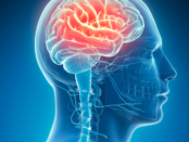 neurological conditions, brain disorders, nerve damage, neurodegenerative diseases, neurological symptoms, brain health, nerve disorders