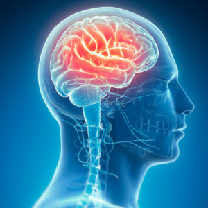 neurological conditions, brain disorders, nerve damage, neurodegenerative diseases, neurological symptoms, brain health, nerve disorders