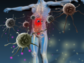 Boost immune system, viral infection prevention, immune health strategies, antiviral immune response, immune system support, viral infection symptoms, immune boosting diet, natural immunity boosters, immune system lifestyle, viral infection recovery, immune system strength, stress and immunity, immune system supplements, viral infection management, immune health tips, antiviral lifestyle changes, immune system basics, viral infection defense, immune system nutrition, immune health awareness