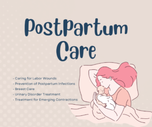 Poster with bullet points outlining key postpartum care strategies