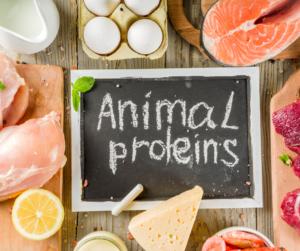A selection of animal protein sources including lean meats, eggs, fish, and dairy products