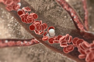 Boost blood flow naturally, enhance circulation naturally, improve vascular health, promote healthy blood flow